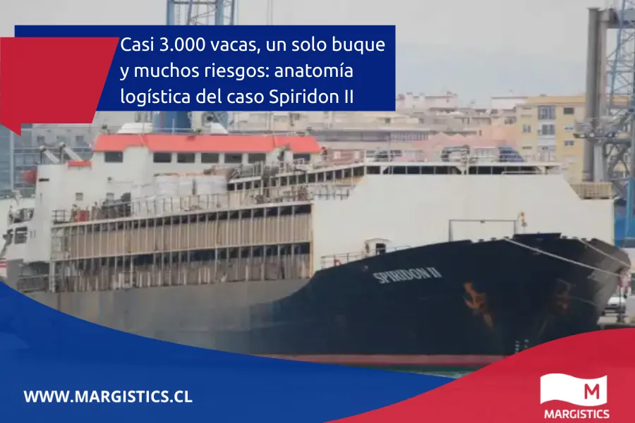 Casi 3.000 vacas, un solo buque y muchos riesgos: anatomía logística del caso Spiridon II